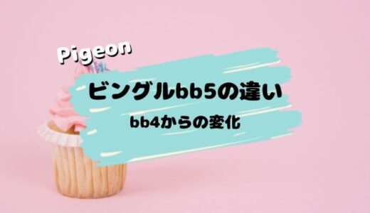 【店員解説】ビングルbb5の４つの違い。bb4から大幅な変化なし！？